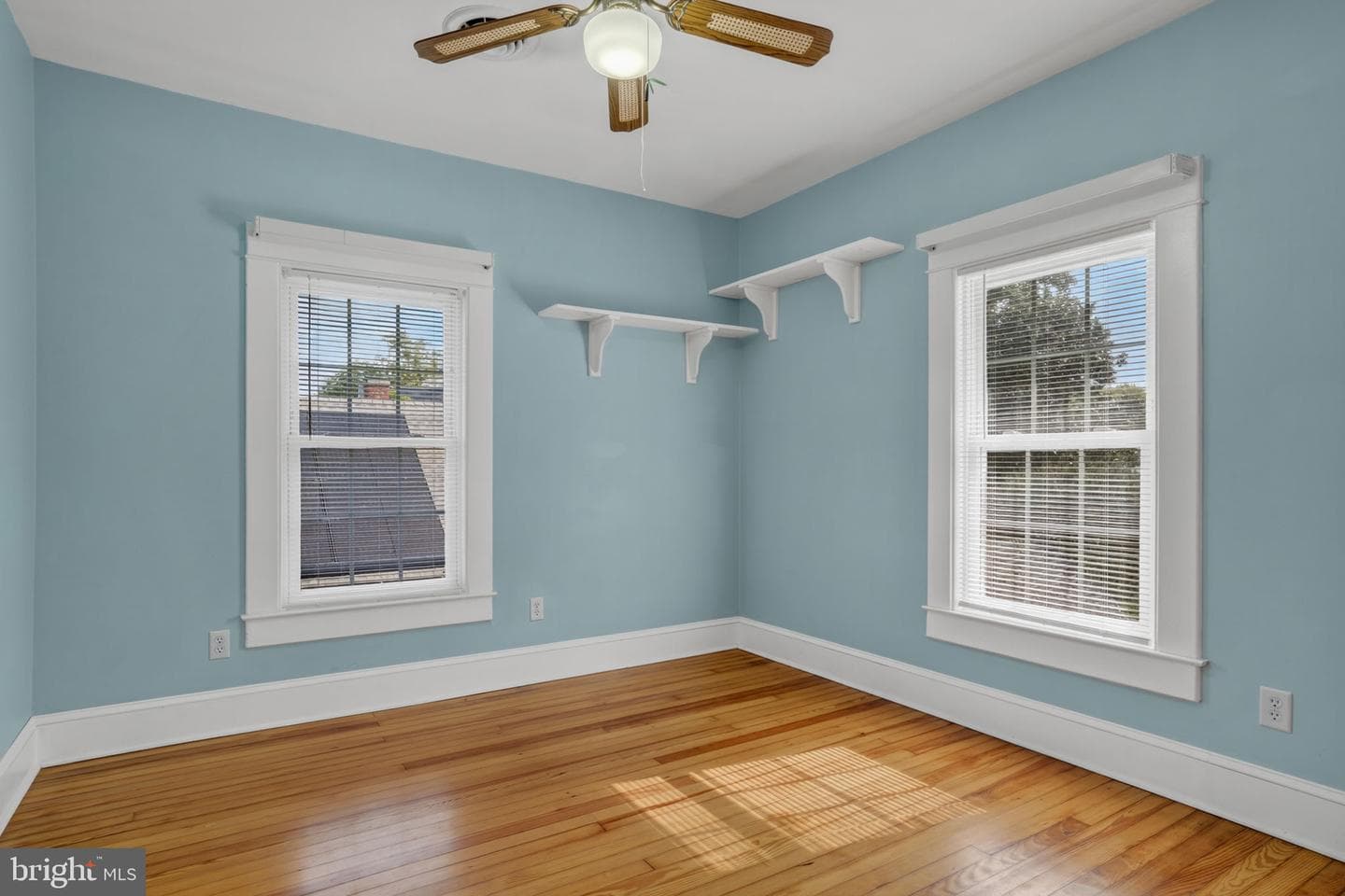 5 Clarke Avenue photo 28