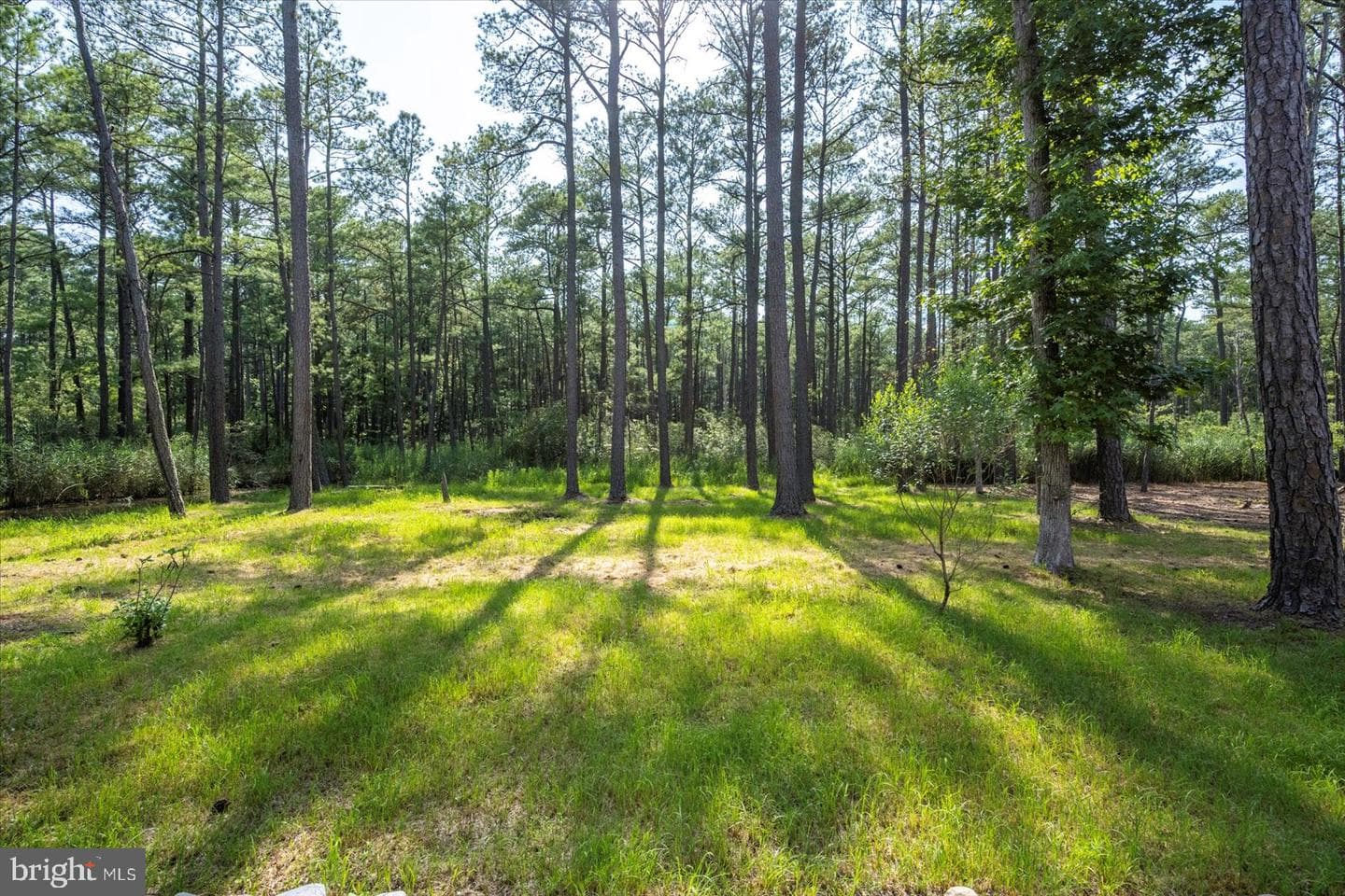 107 Port Arthur Court photo 115