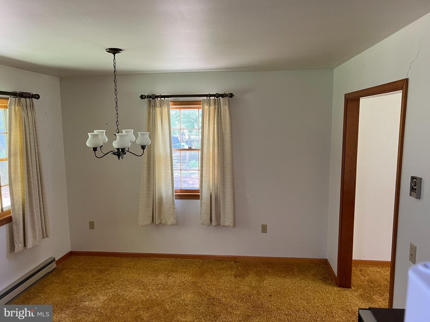 5803 Steffe Drive photo 17