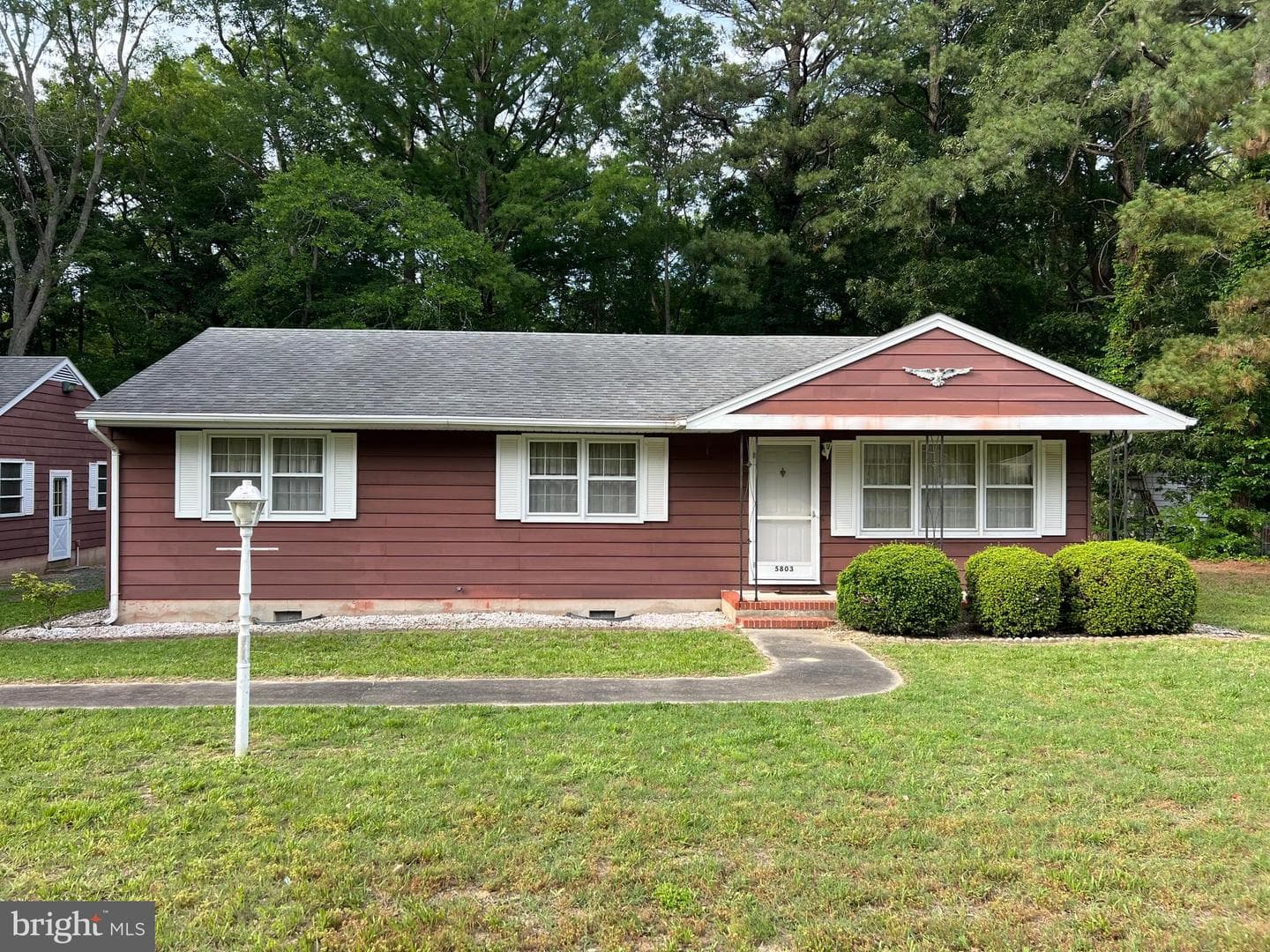5803 Steffe Drive photo 7