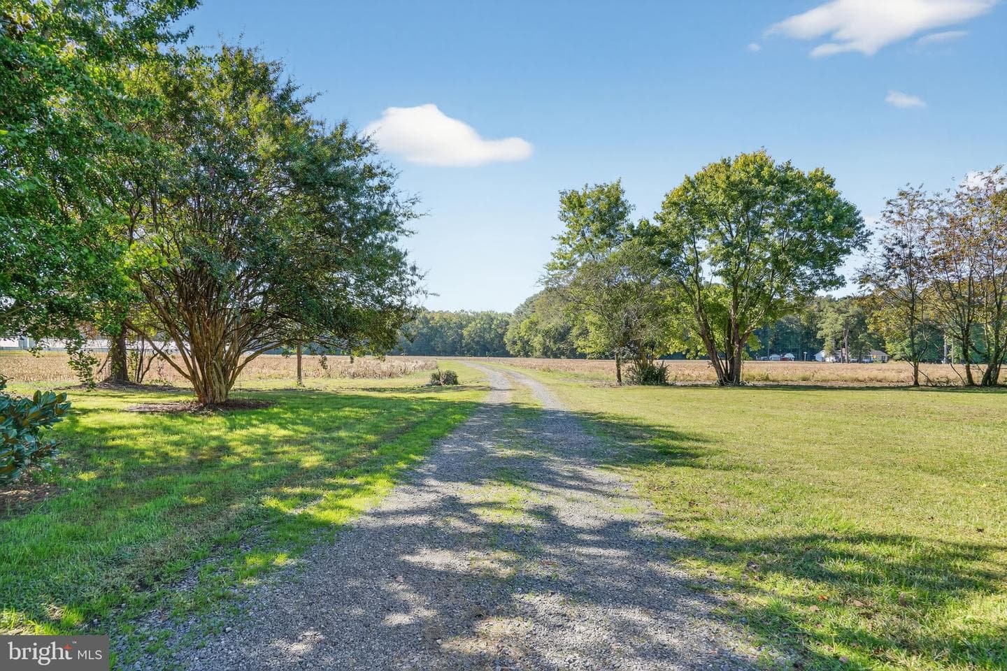3557 Sheephouse Road photo 5