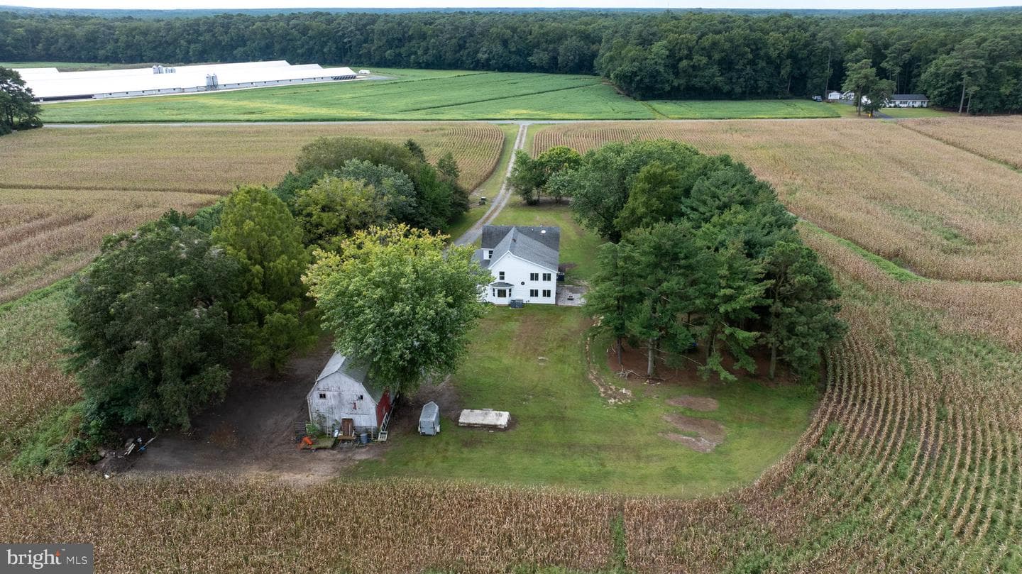 3557 Sheephouse Road photo 78