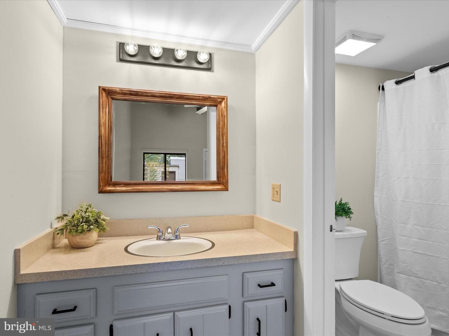 438 Ocean Parkway #4 photo 26