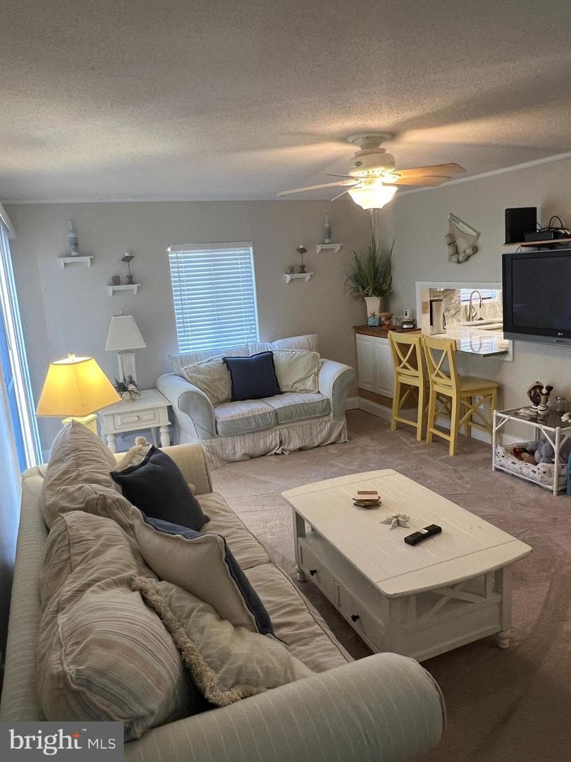 6308 Coastal Highway #101 photo 11