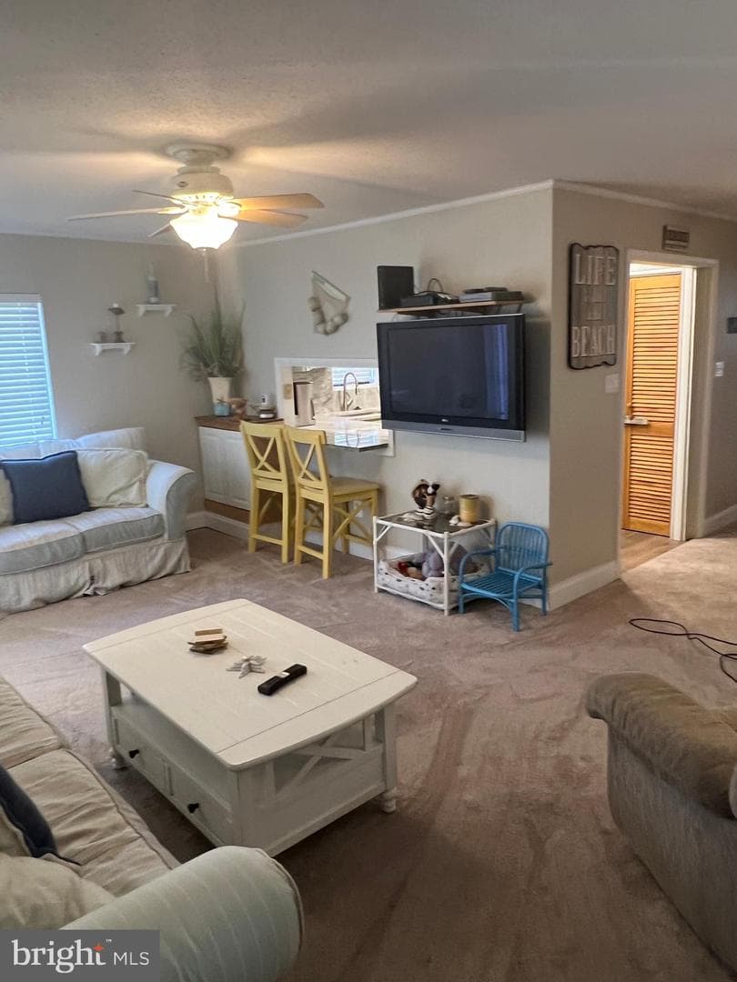 6308 Coastal Highway #101 photo 15
