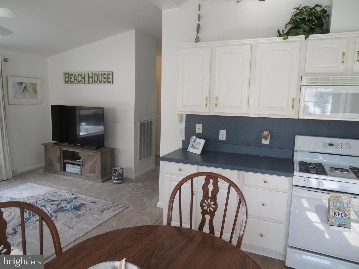 134 Skipjack Circle photo 39