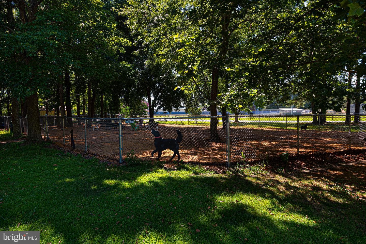 88 Seafarer Lane photo 67