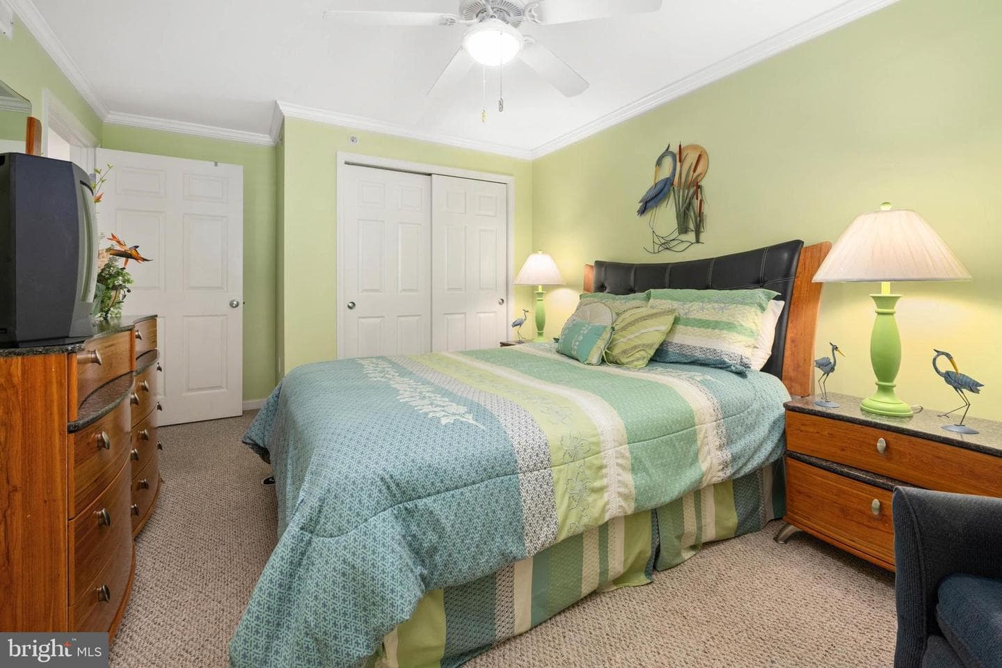 107 Somerset Street #102 photo 16