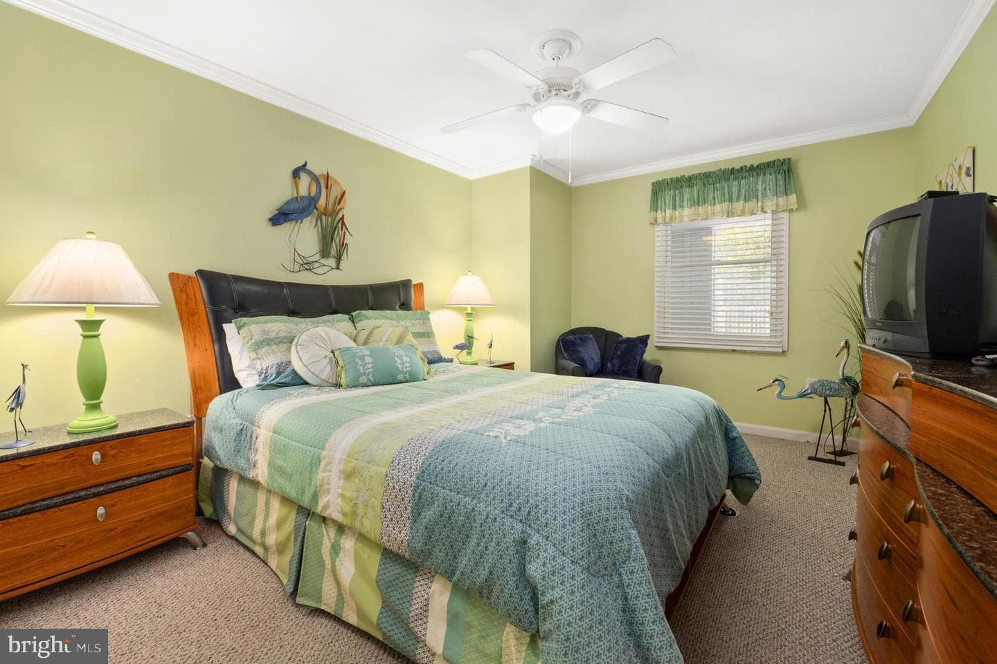 107 Somerset Street #102 photo 17