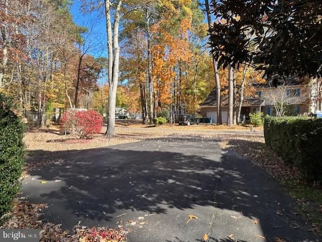 9 Burr Hill Drive photo 17