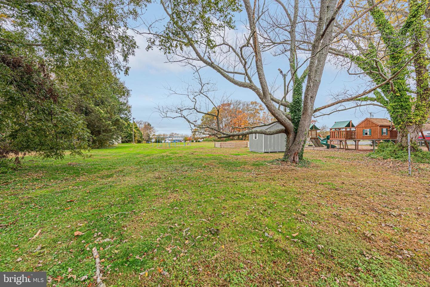 605 Williams Street photo 4