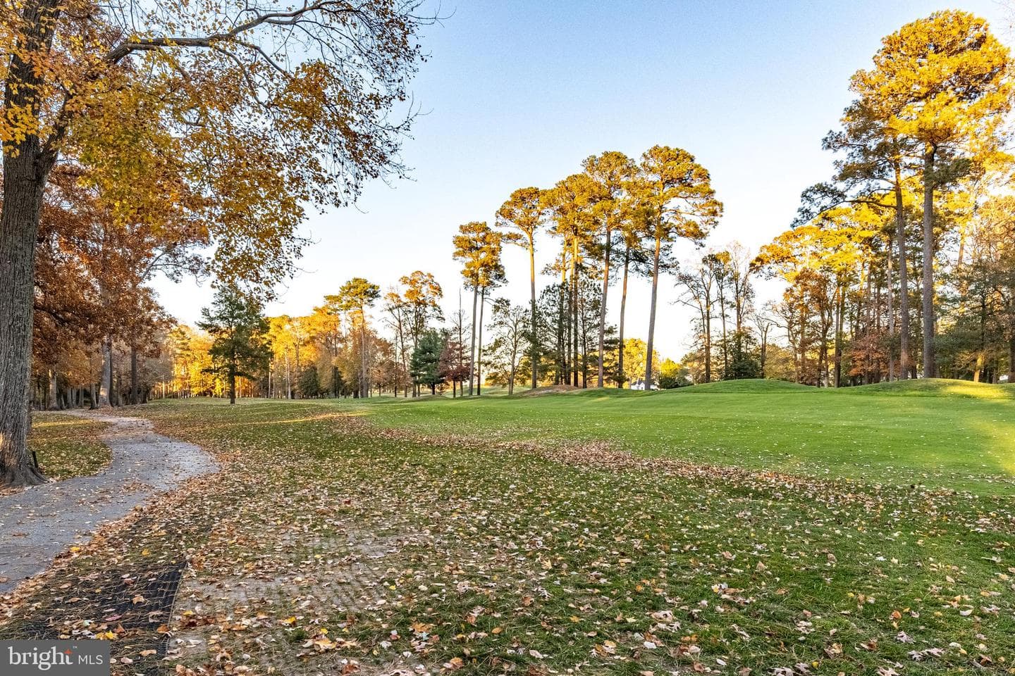 11317 River Run Lane photo 95