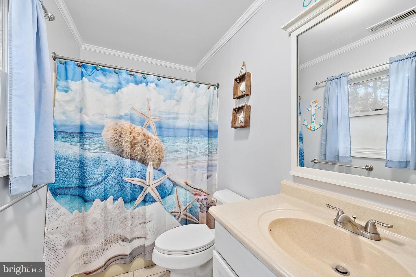 54 Cannon Drive photo 28