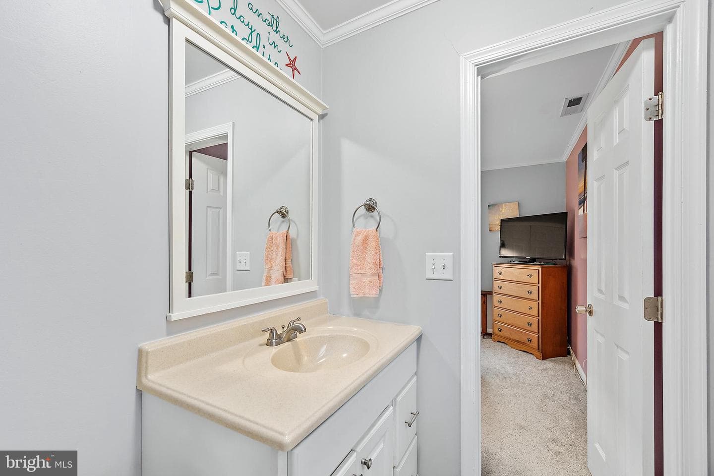54 Cannon Drive photo 29