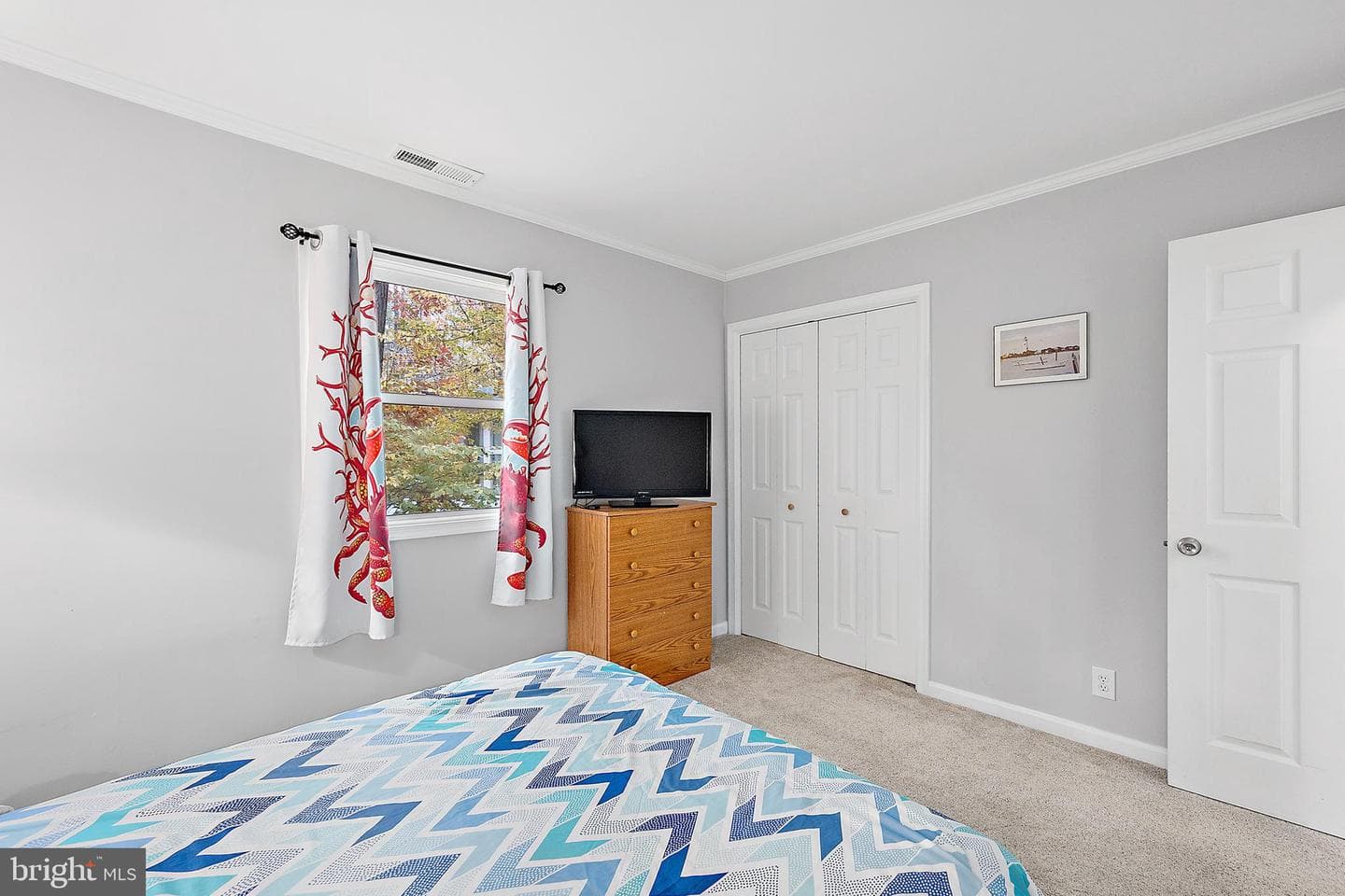 54 Cannon Drive photo 37