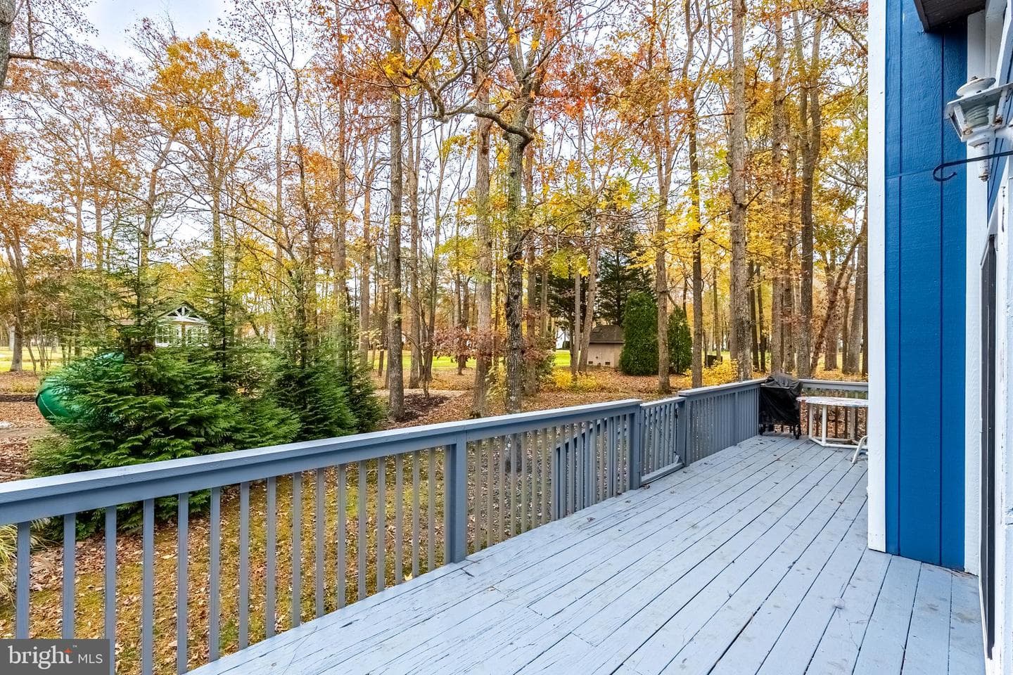 54 Cannon Drive photo 43