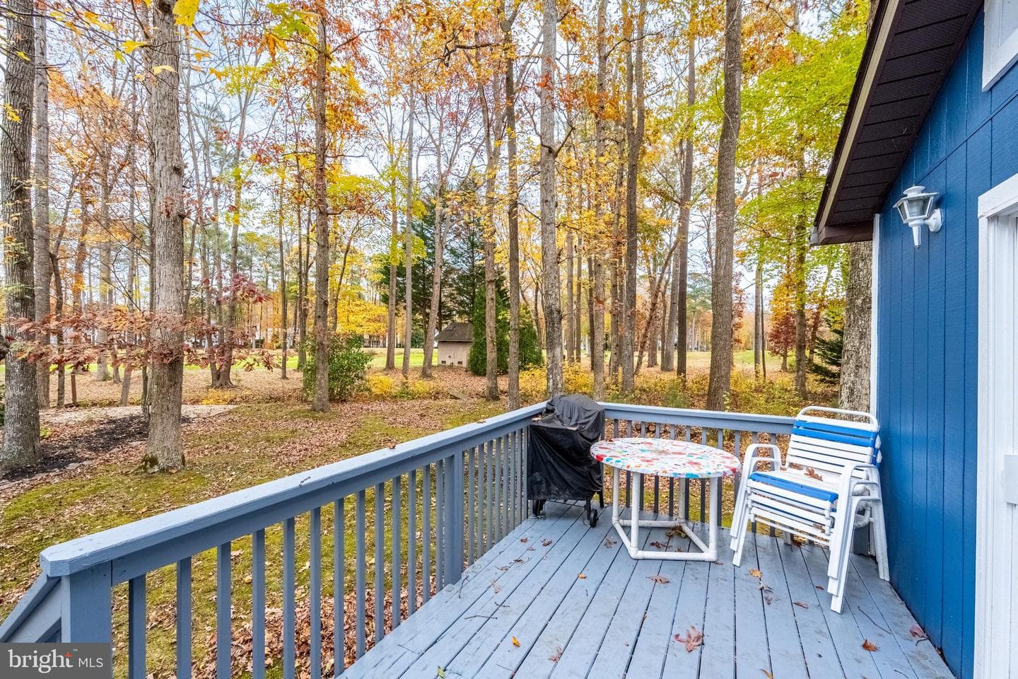 54 Cannon Drive photo 48