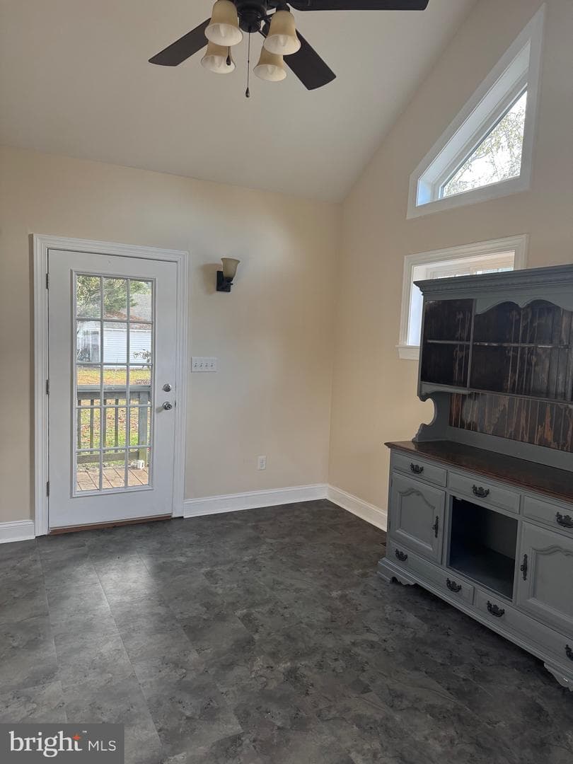 902 Cedar Street photo 12