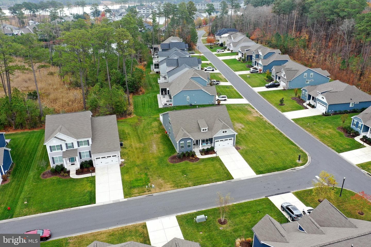 12147 Pimlico Lane photo 81