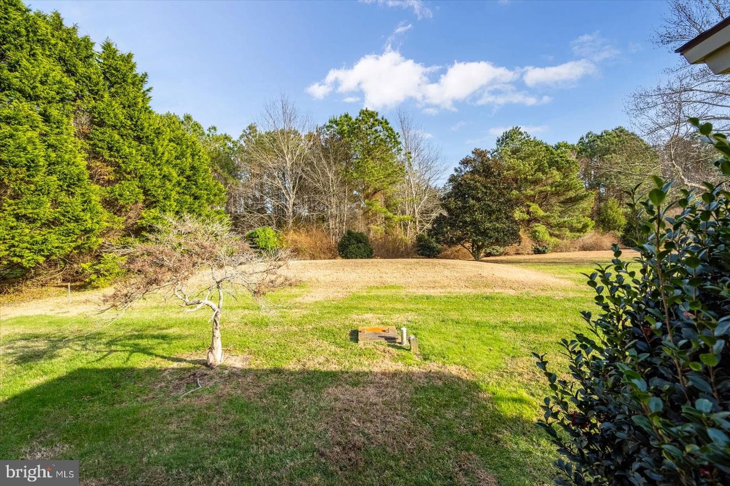 8814 Hunting Hound Road photo 56