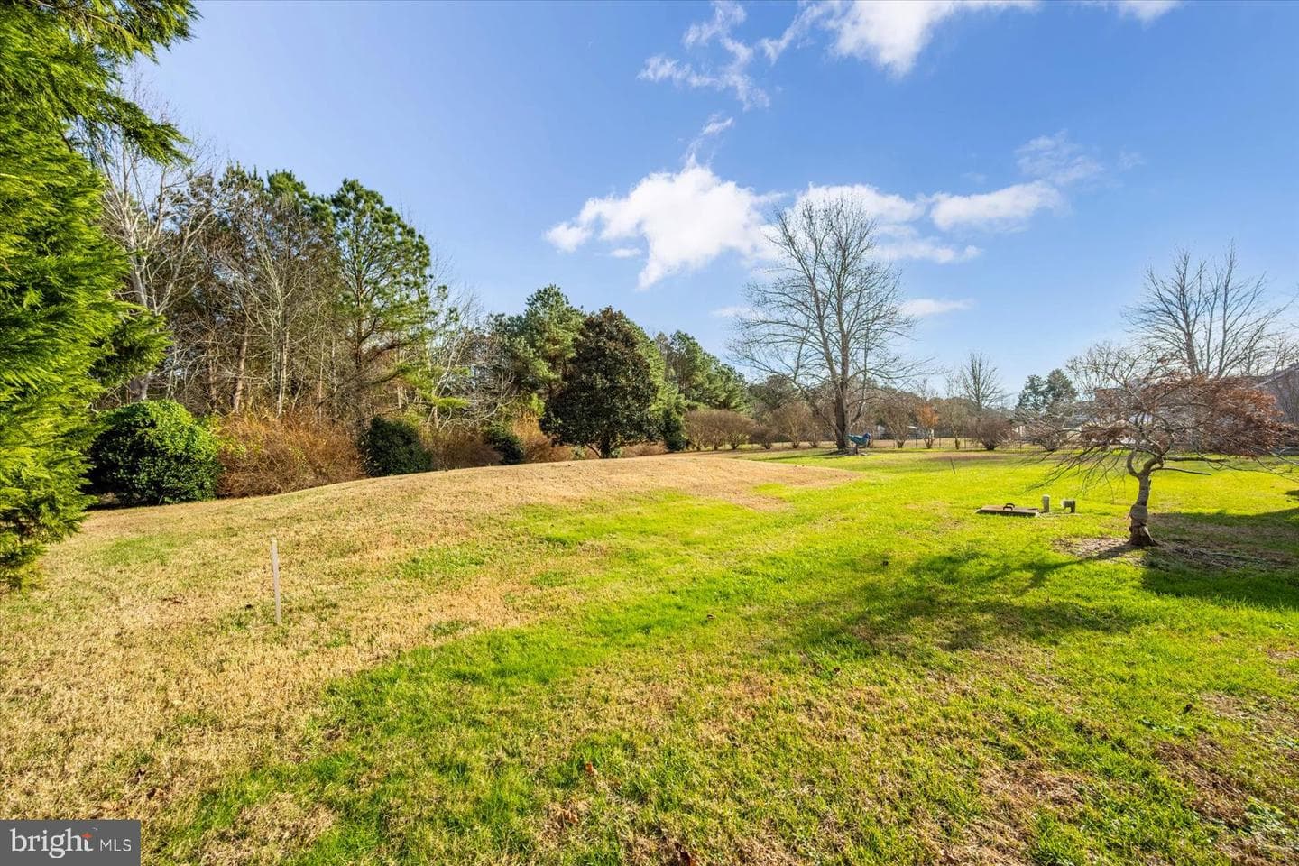 8814 Hunting Hound Road photo 57