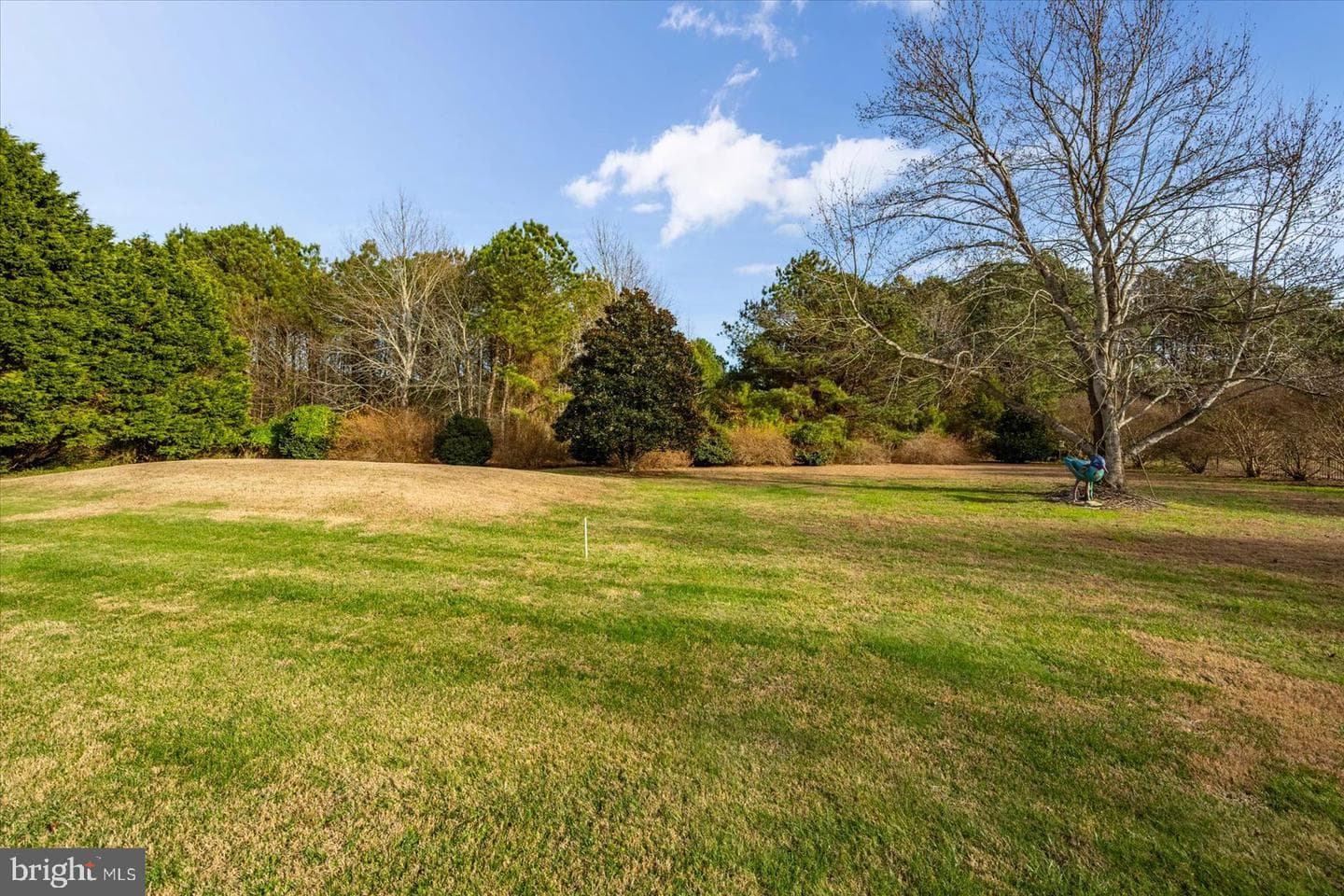 8814 Hunting Hound Road photo 64