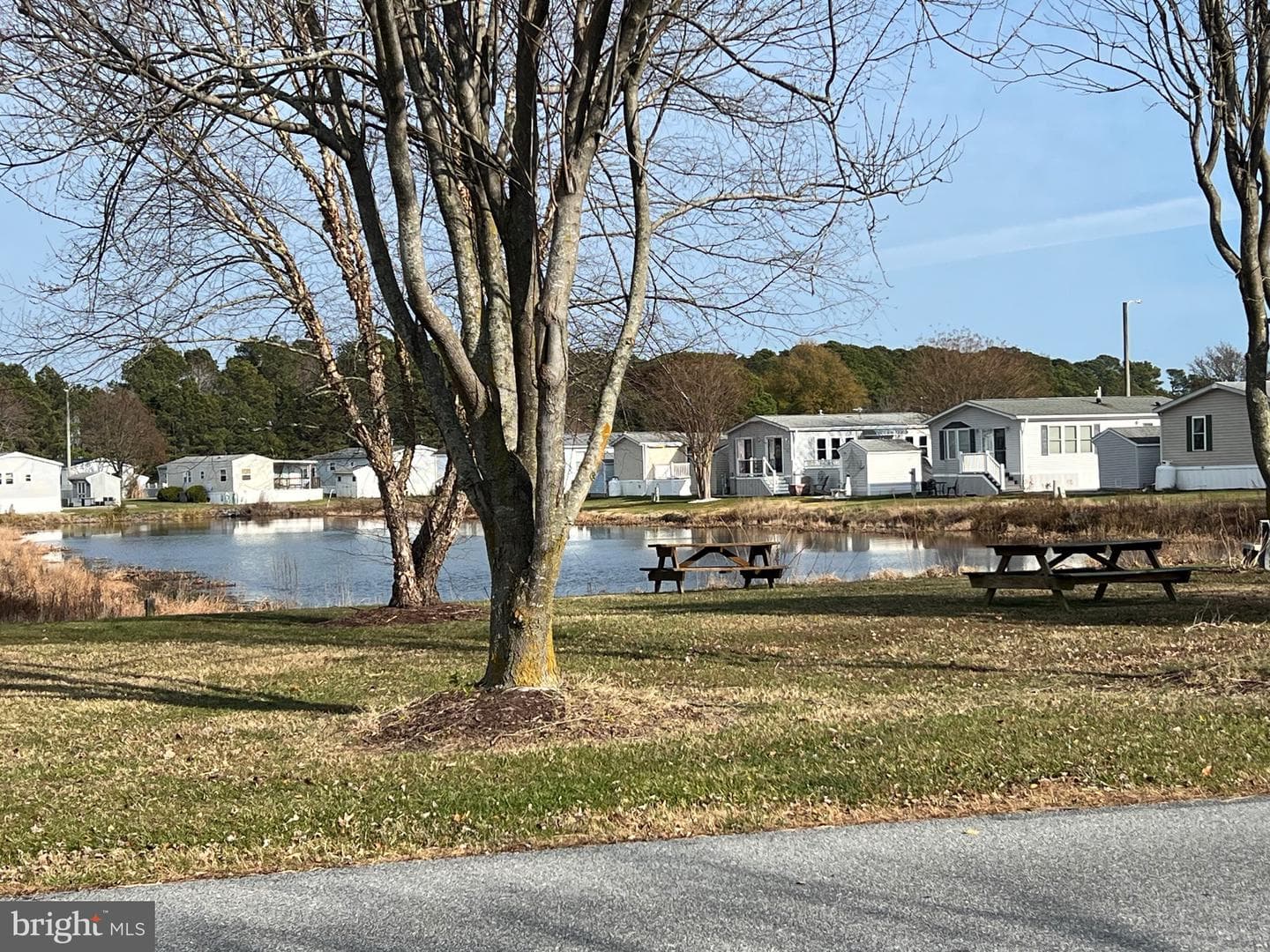 12020 Assateague Way photo 23