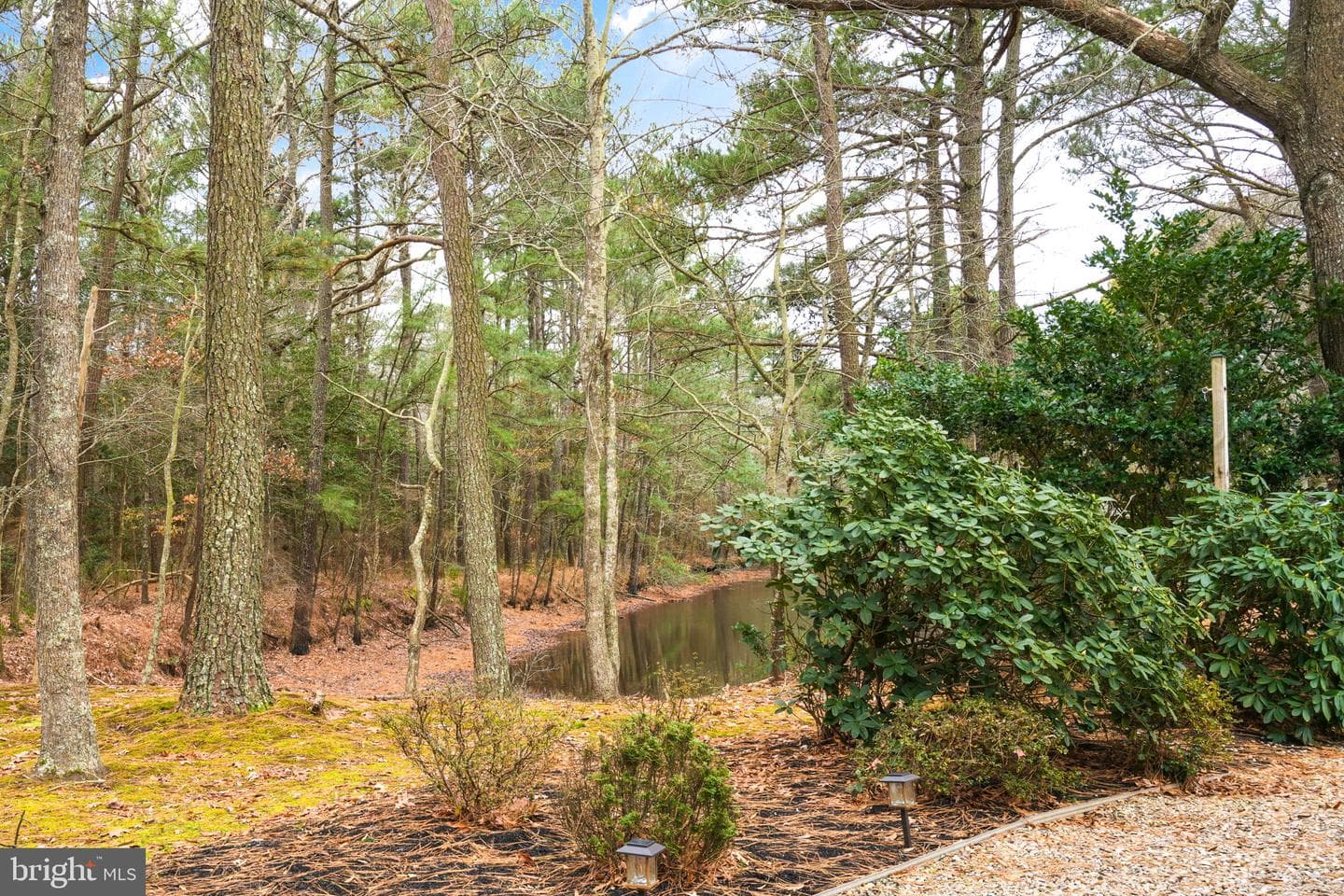 11530 Country Club Drive photo 59
