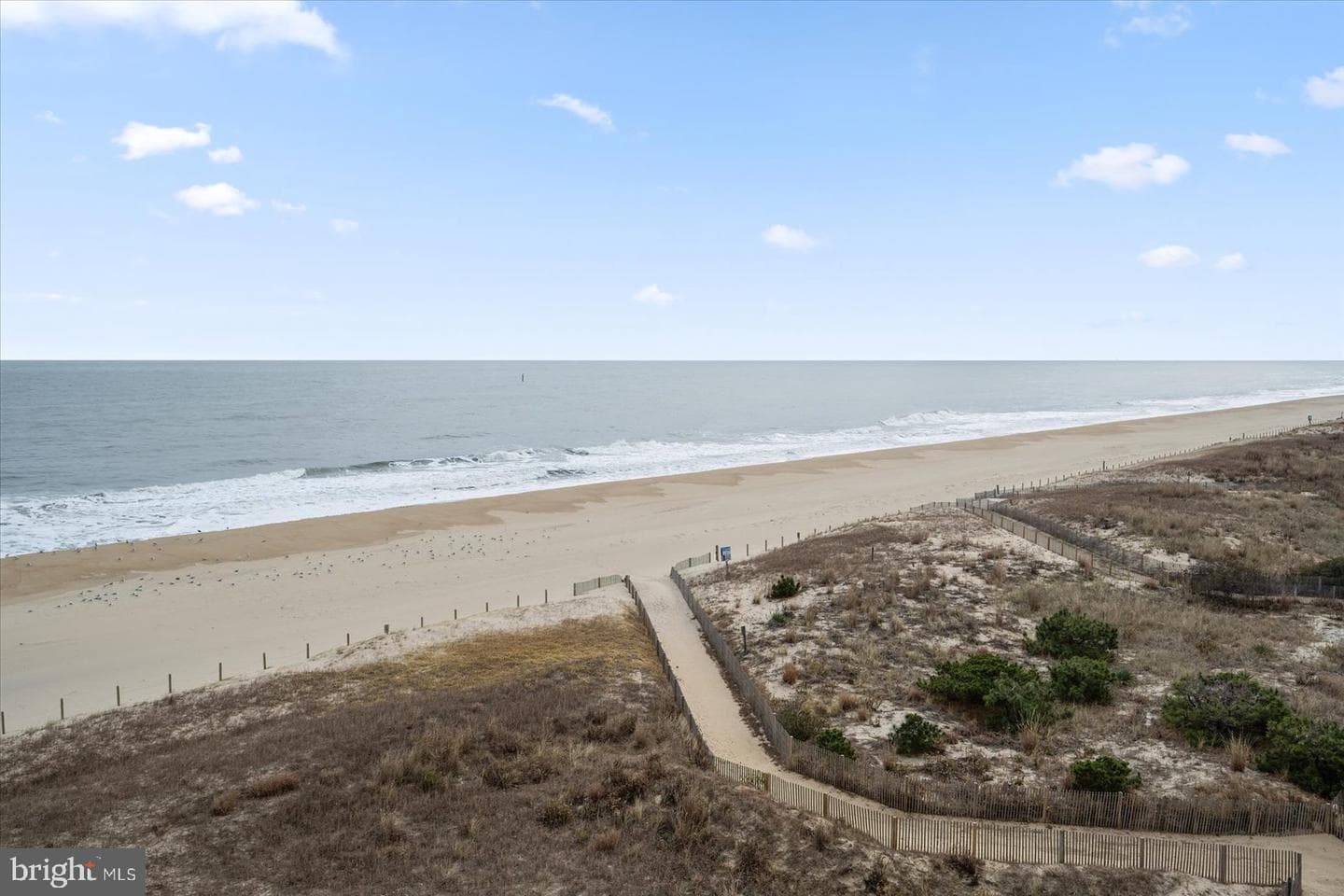 5801 Atlantic Avenue #101 photo 47