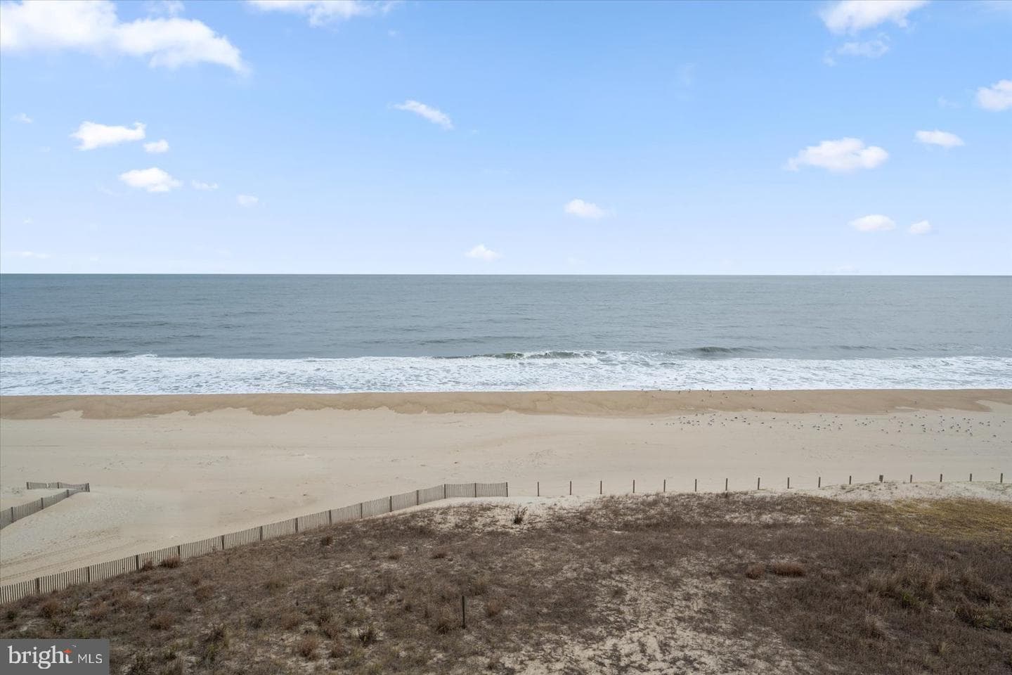 5801 Atlantic Avenue #101 photo 48
