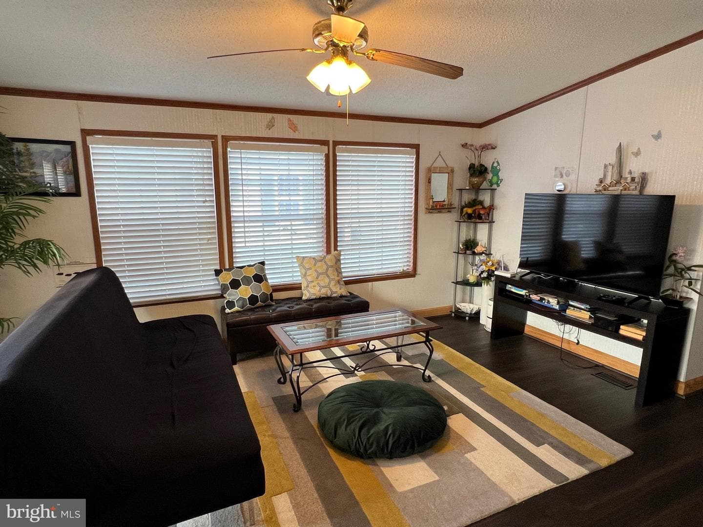 12033 Assateague Way photo 5