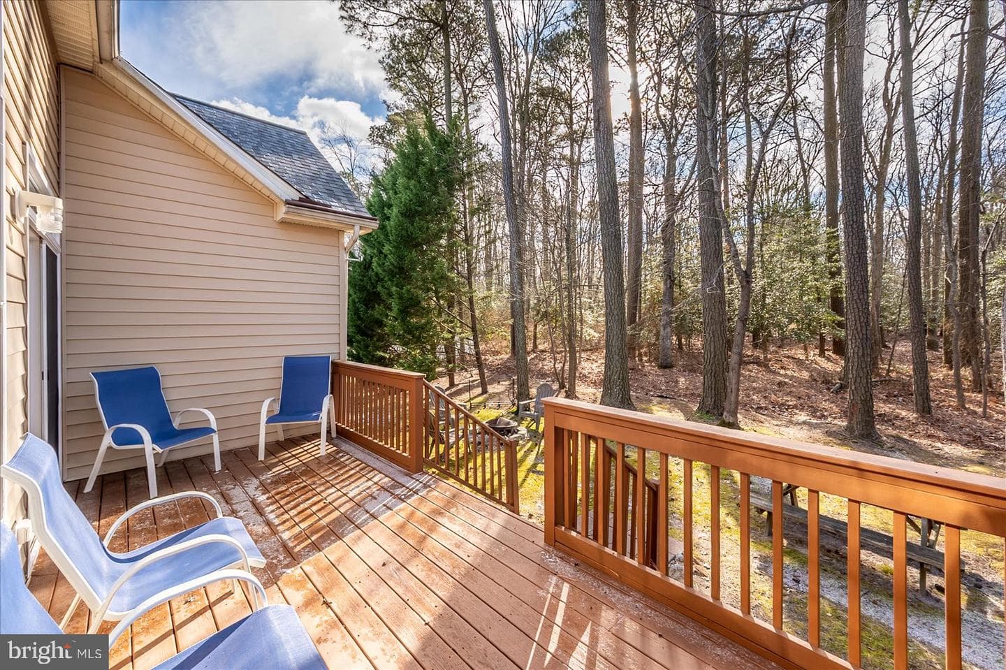 12641 Whisper Trace Drive photo 49