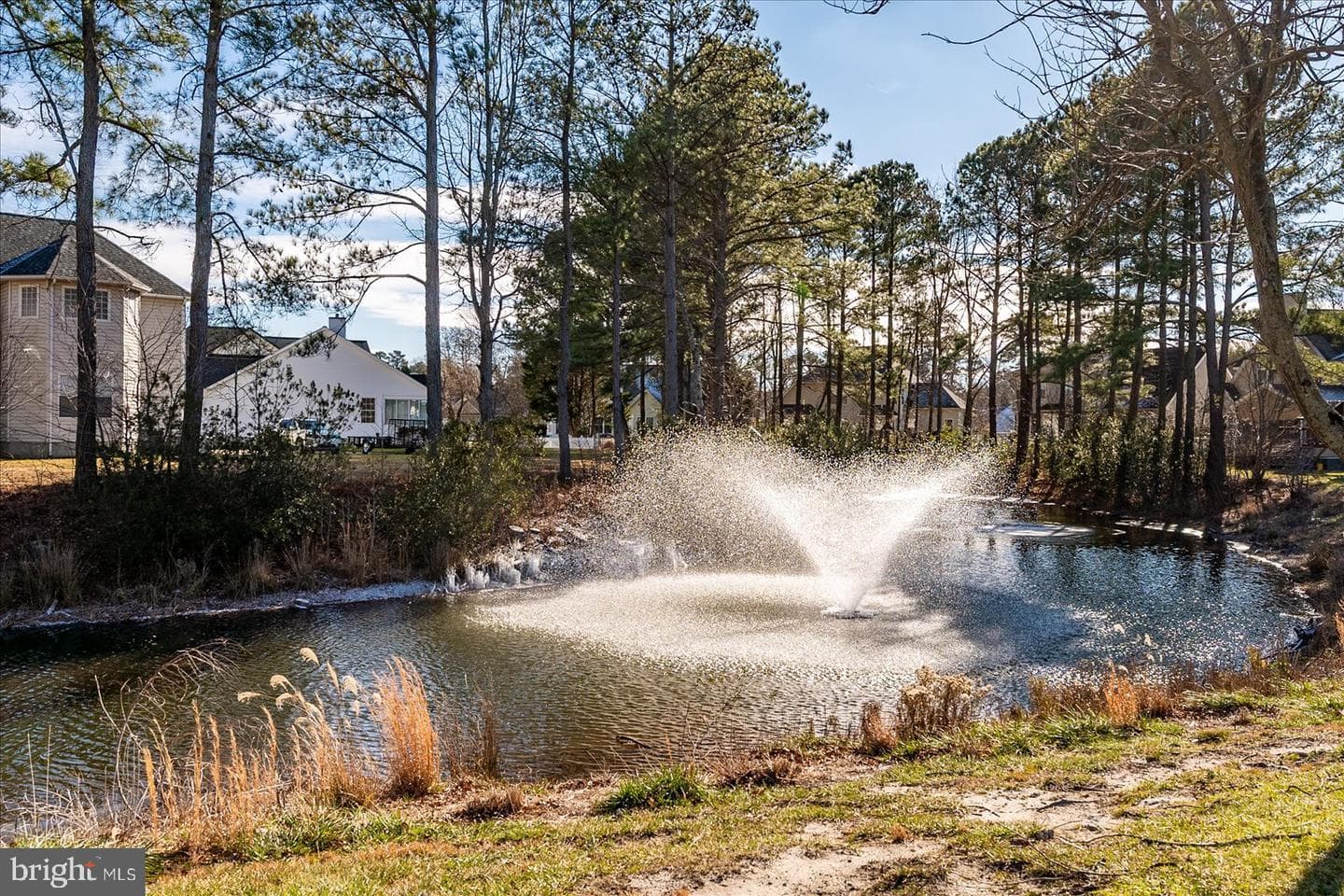 12641 Whisper Trace Drive photo 63