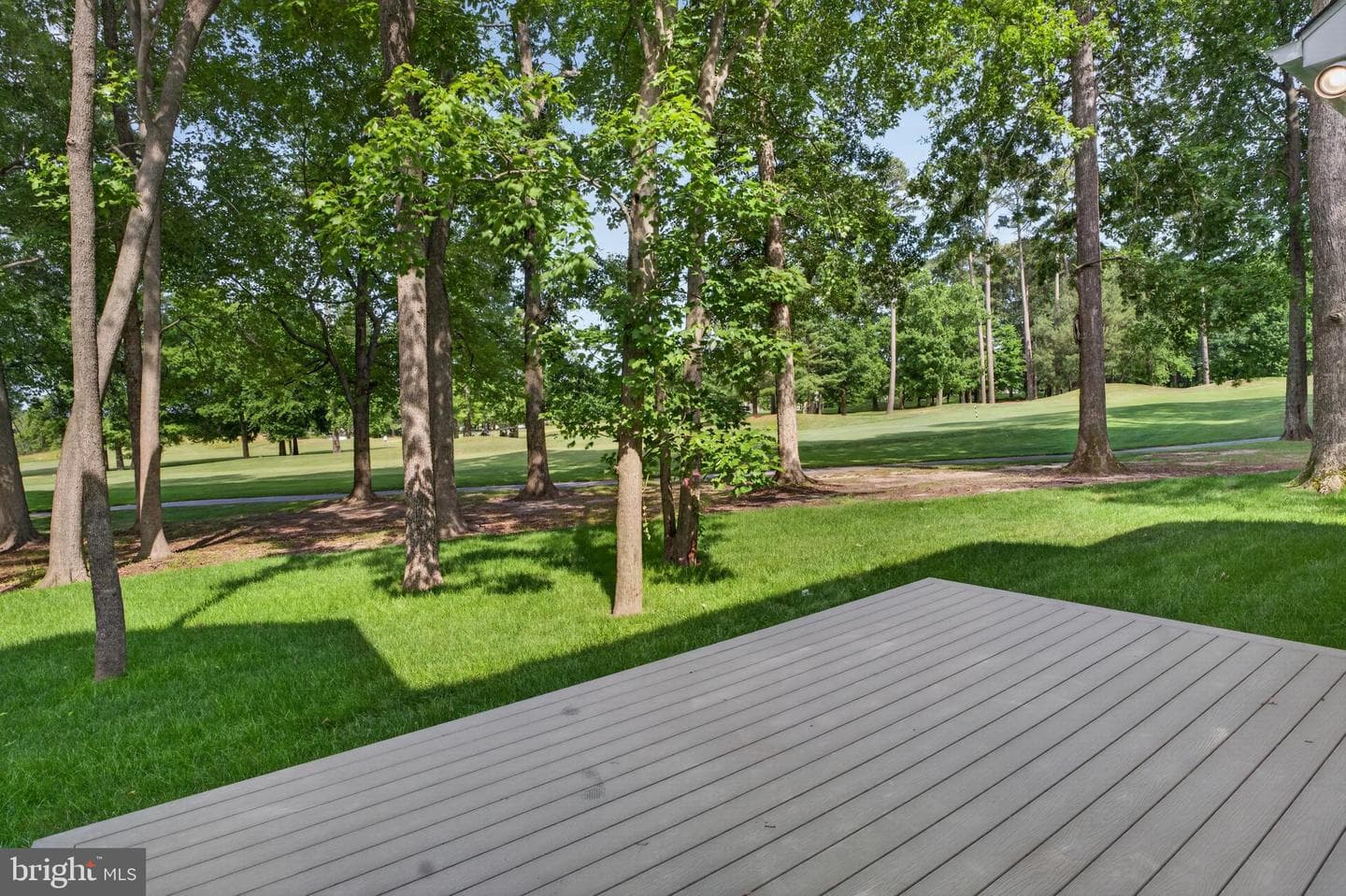 11818 River Run Lane photo 69