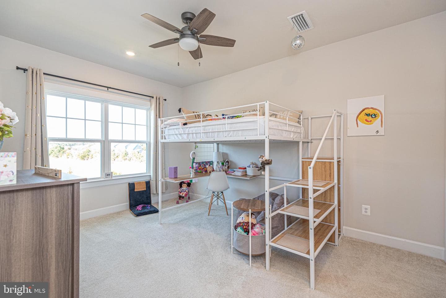 12369 Hidden Bay Drive photo 47