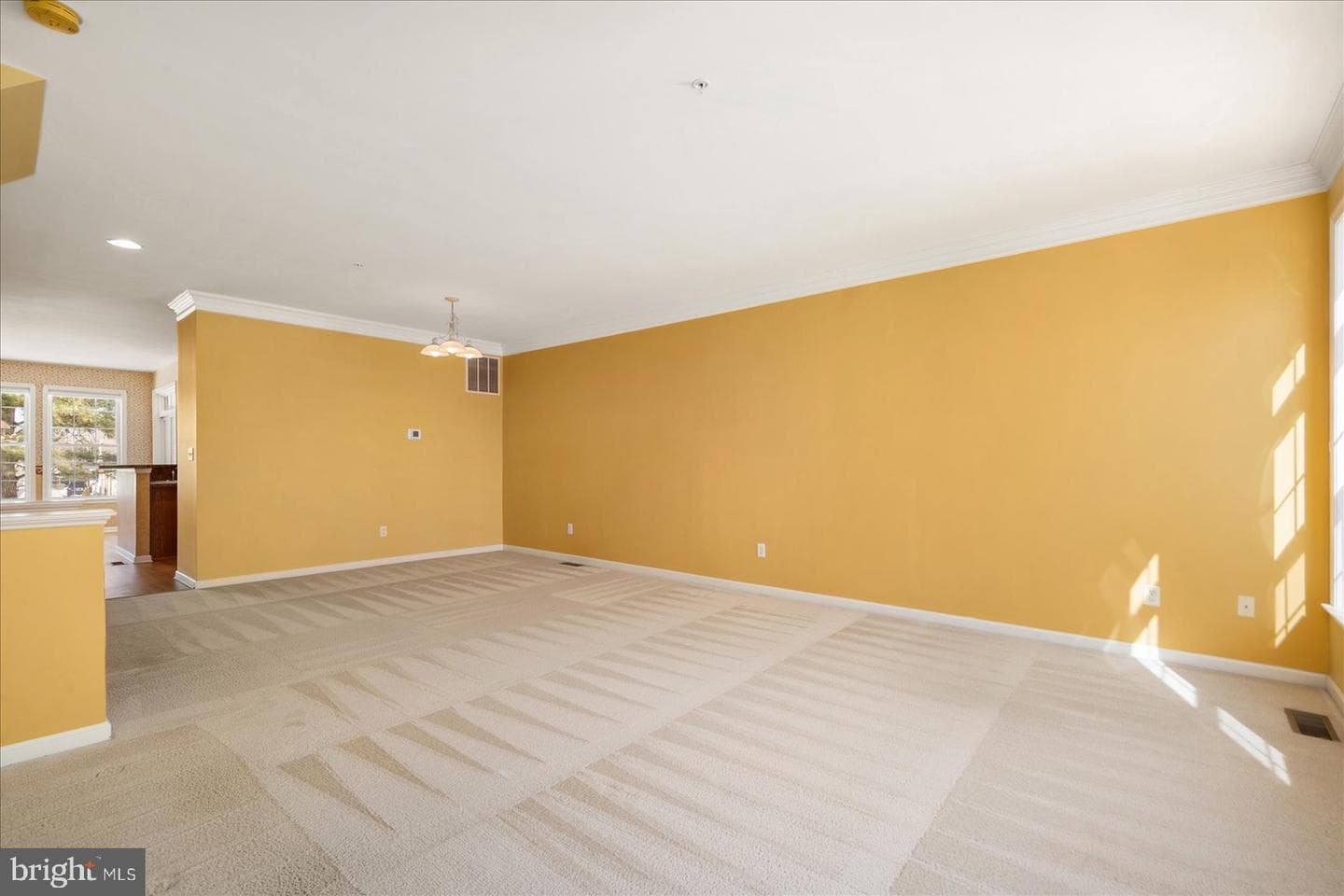 400 Williams Street #12 photo 10