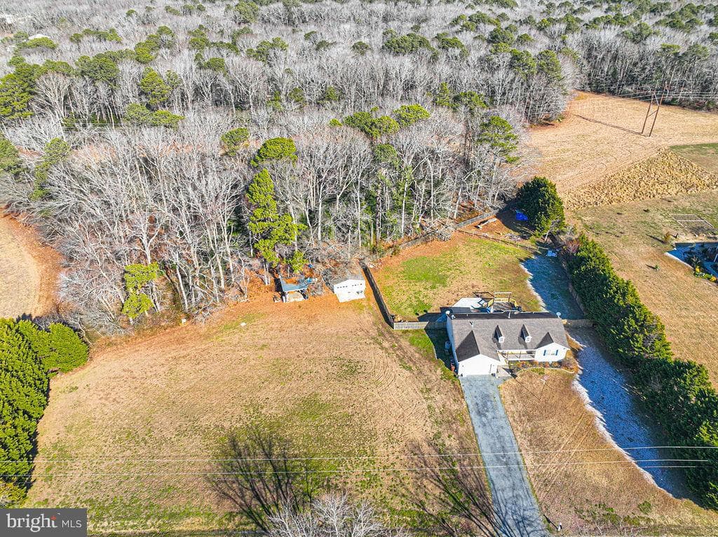 11901 Back Creek Rd photo 42