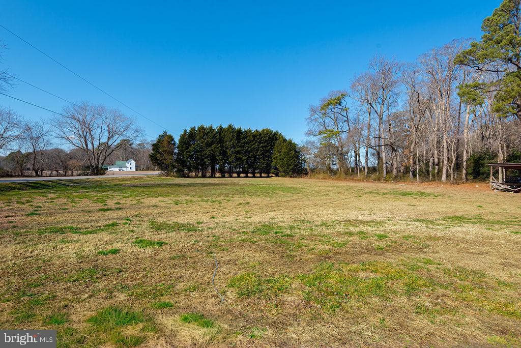 11901 Back Creek Rd photo 47