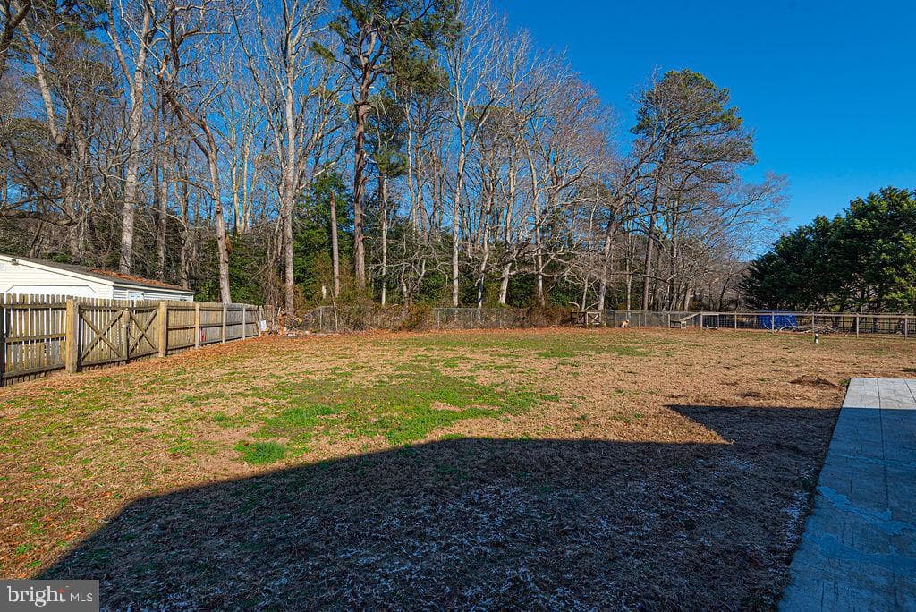 11901 Back Creek Rd photo 48