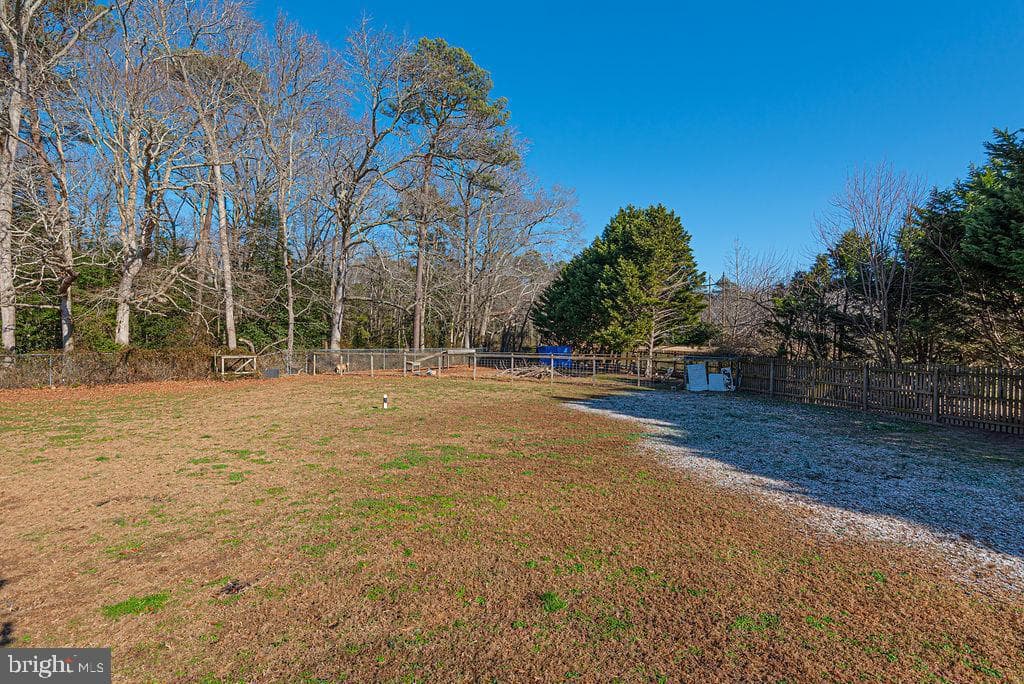 11901 Back Creek Rd photo 62