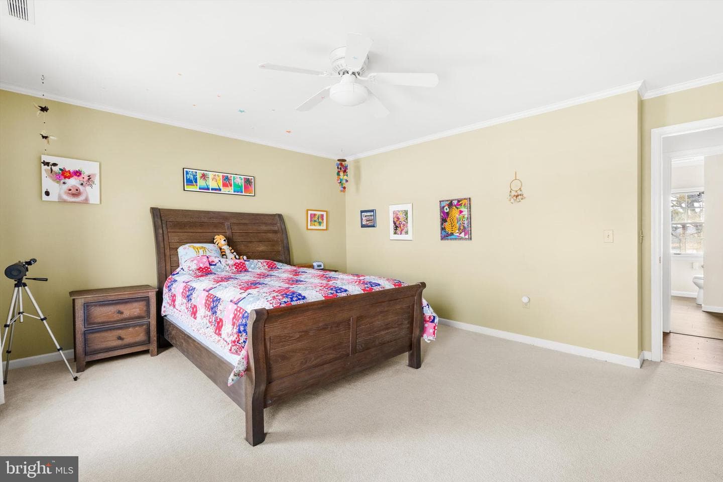 8623 Saddle Creek Drive photo 44