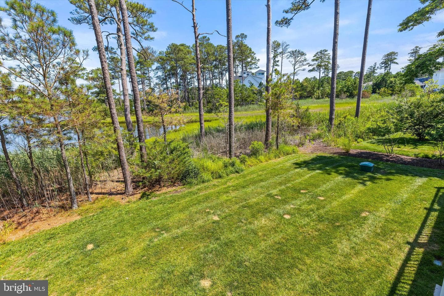 10528 War Dancer Lane photo 56