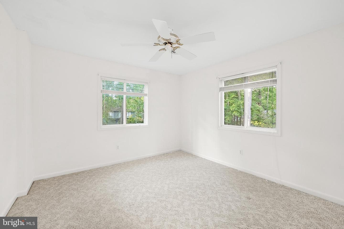 29 Pinehurst Road photo 23