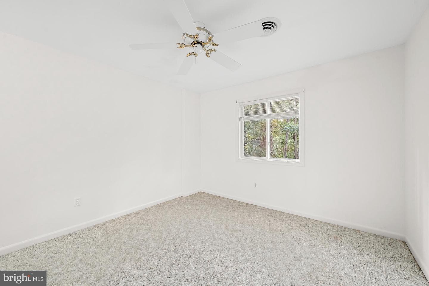 29 Pinehurst Road photo 24