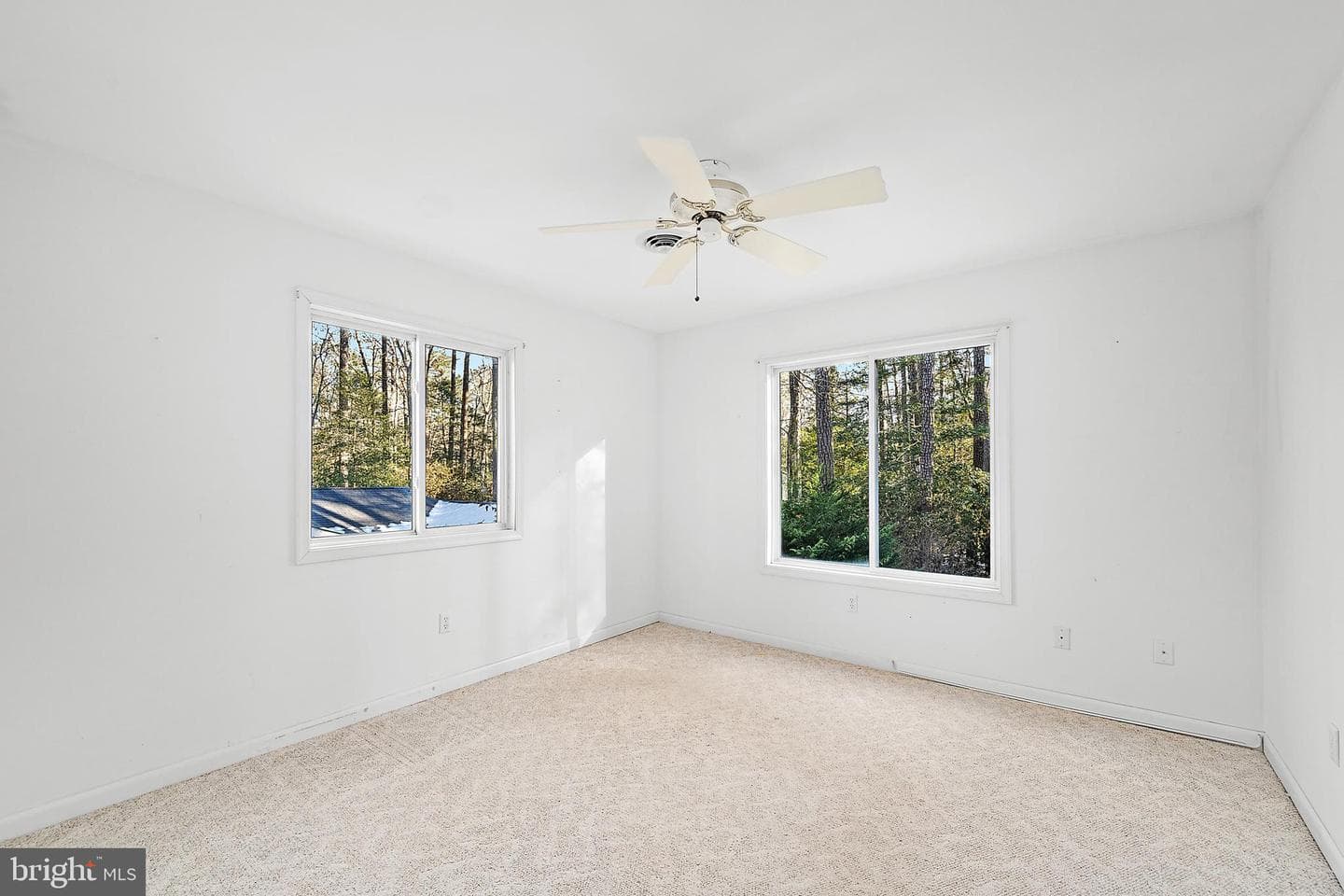29 Pinehurst Road photo 26