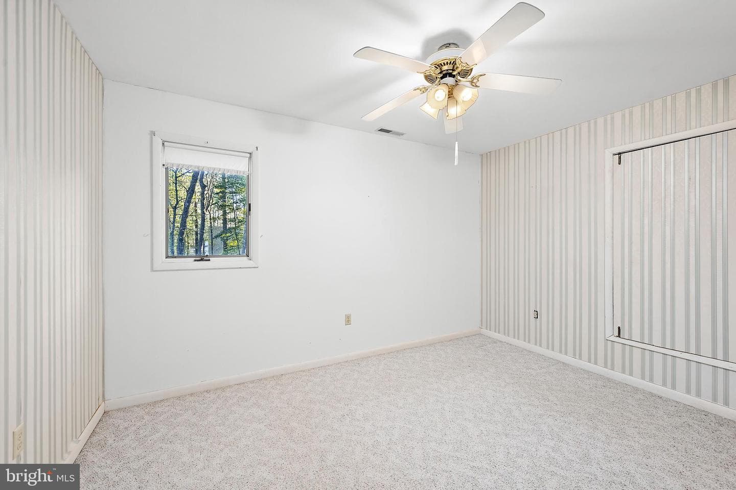 29 Pinehurst Road photo 32