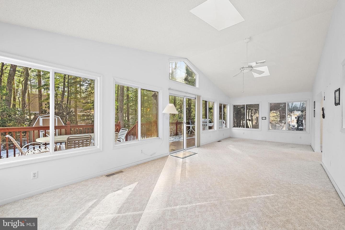 29 Pinehurst Road photo 41