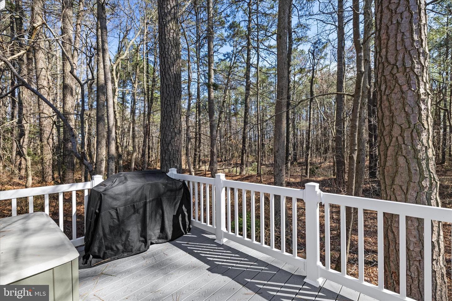 5 Freeport Lane photo 56