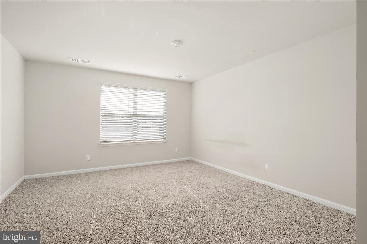 102 Fox Hound Street photo 20