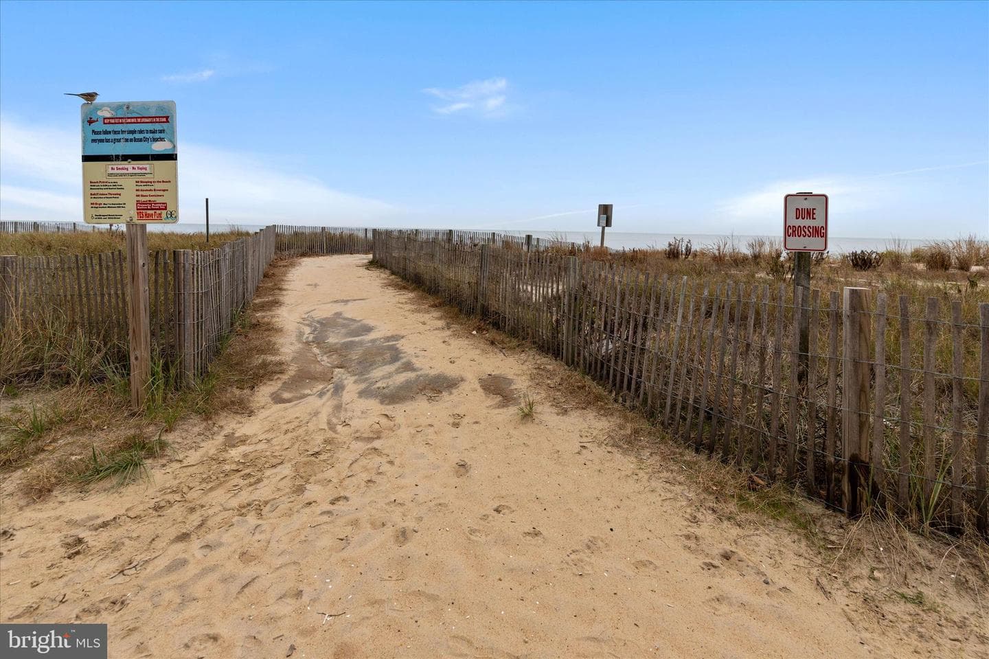 10300 Coastal Highway #1006 photo 44